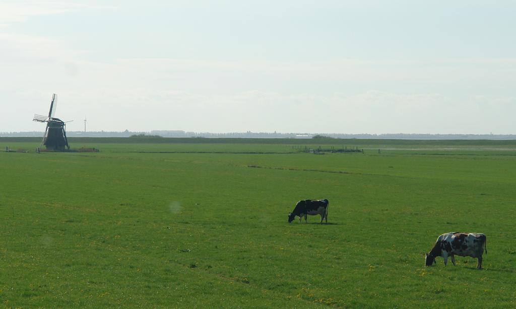 Lyklamastate Nijemirdum Exteriér fotografie